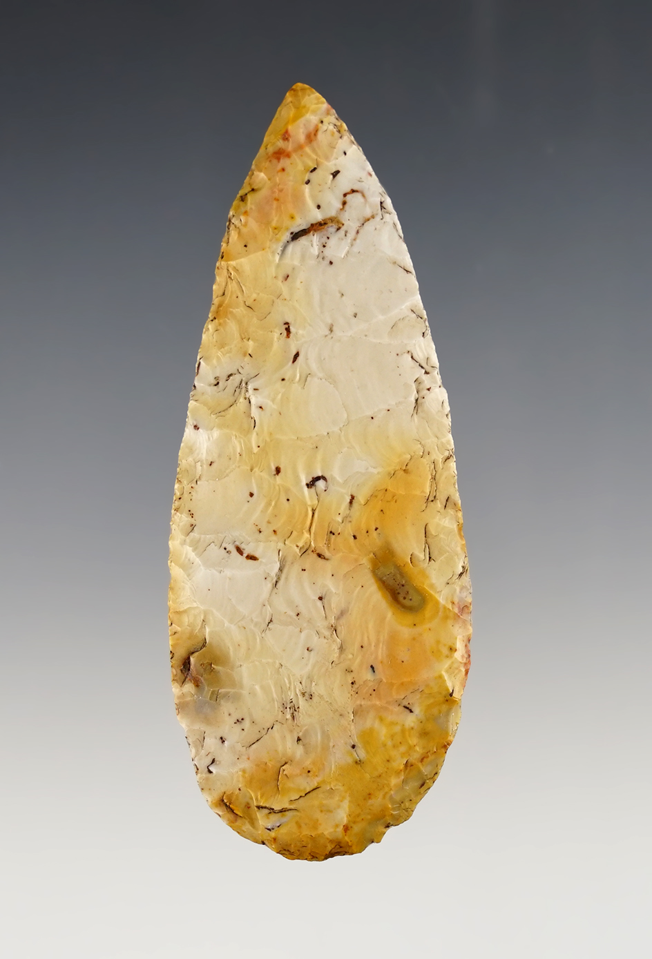 Main artifact image
