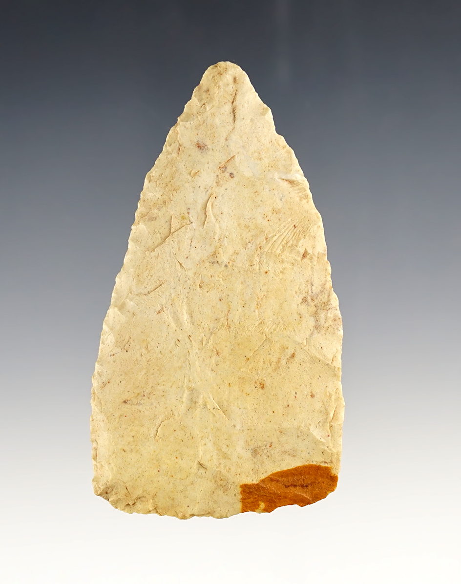 Main artifact image