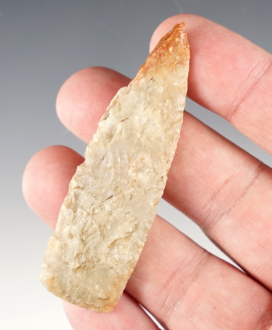 Main artifact image