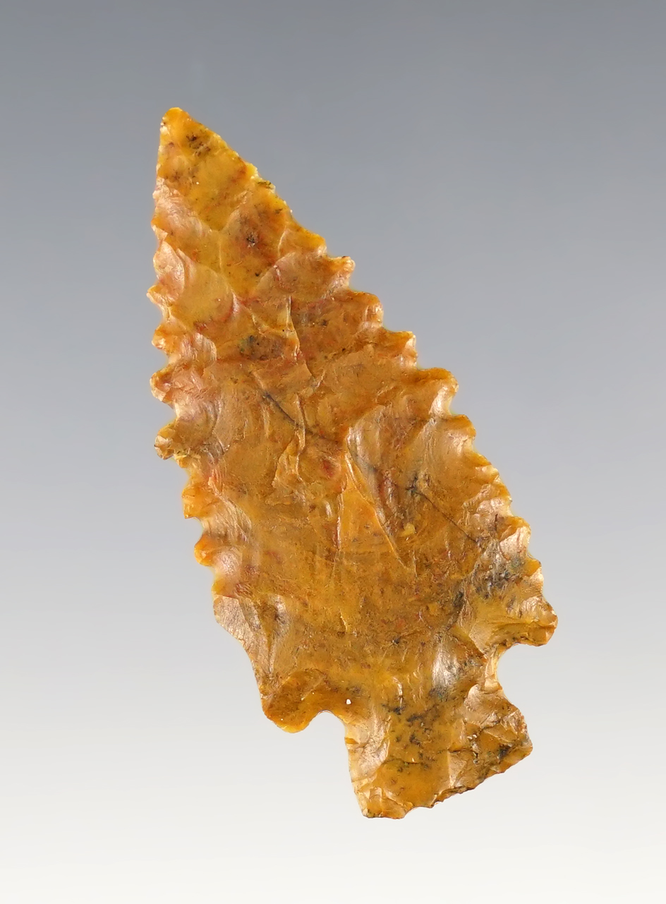 Main artifact image