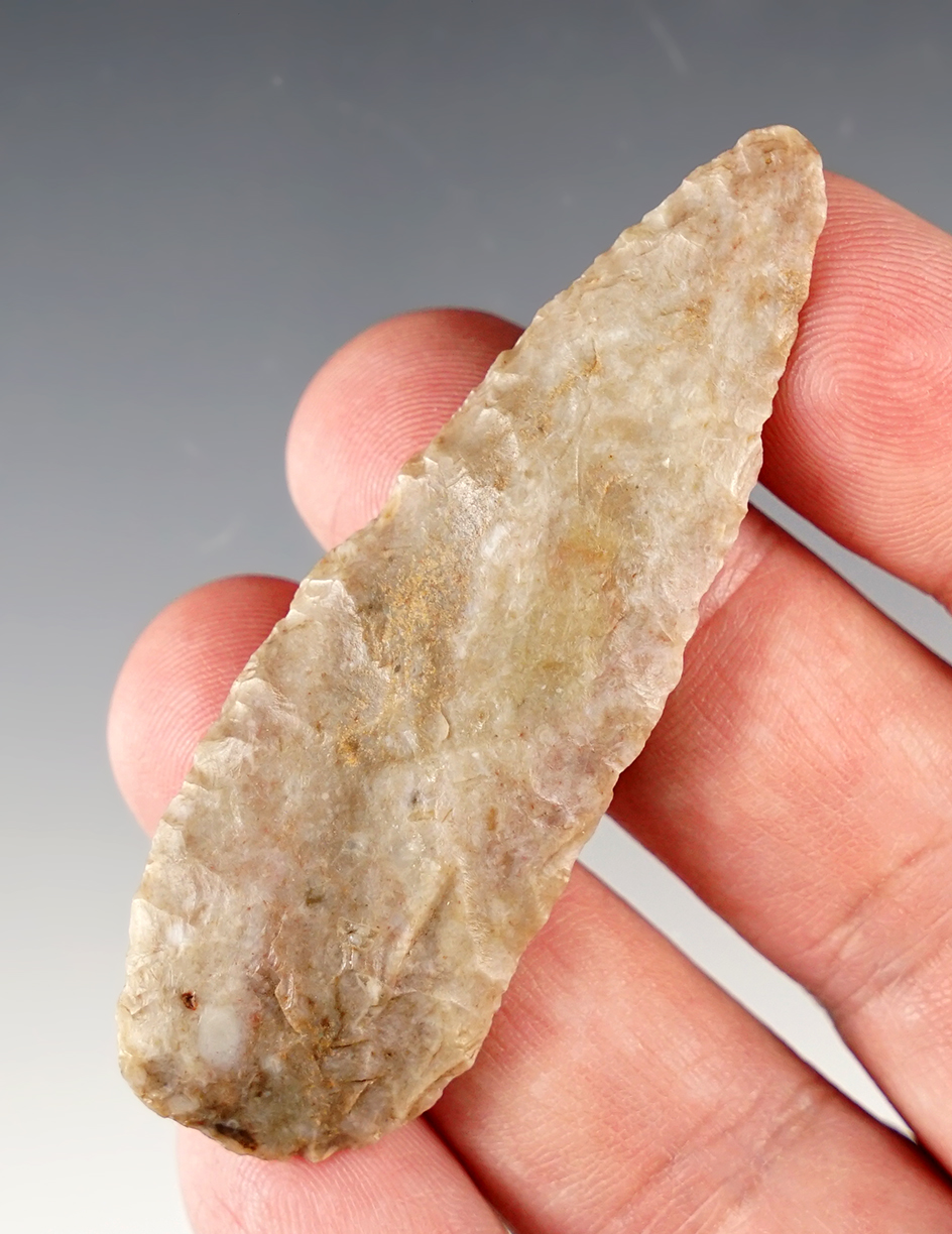 Main artifact image