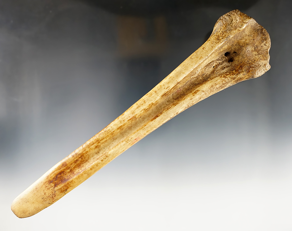 Main artifact image