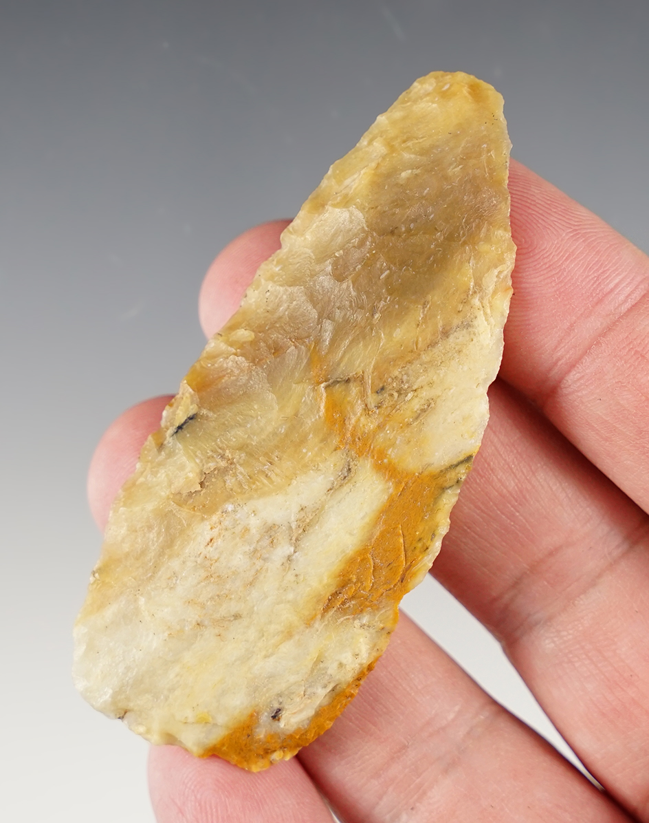 Main artifact image
