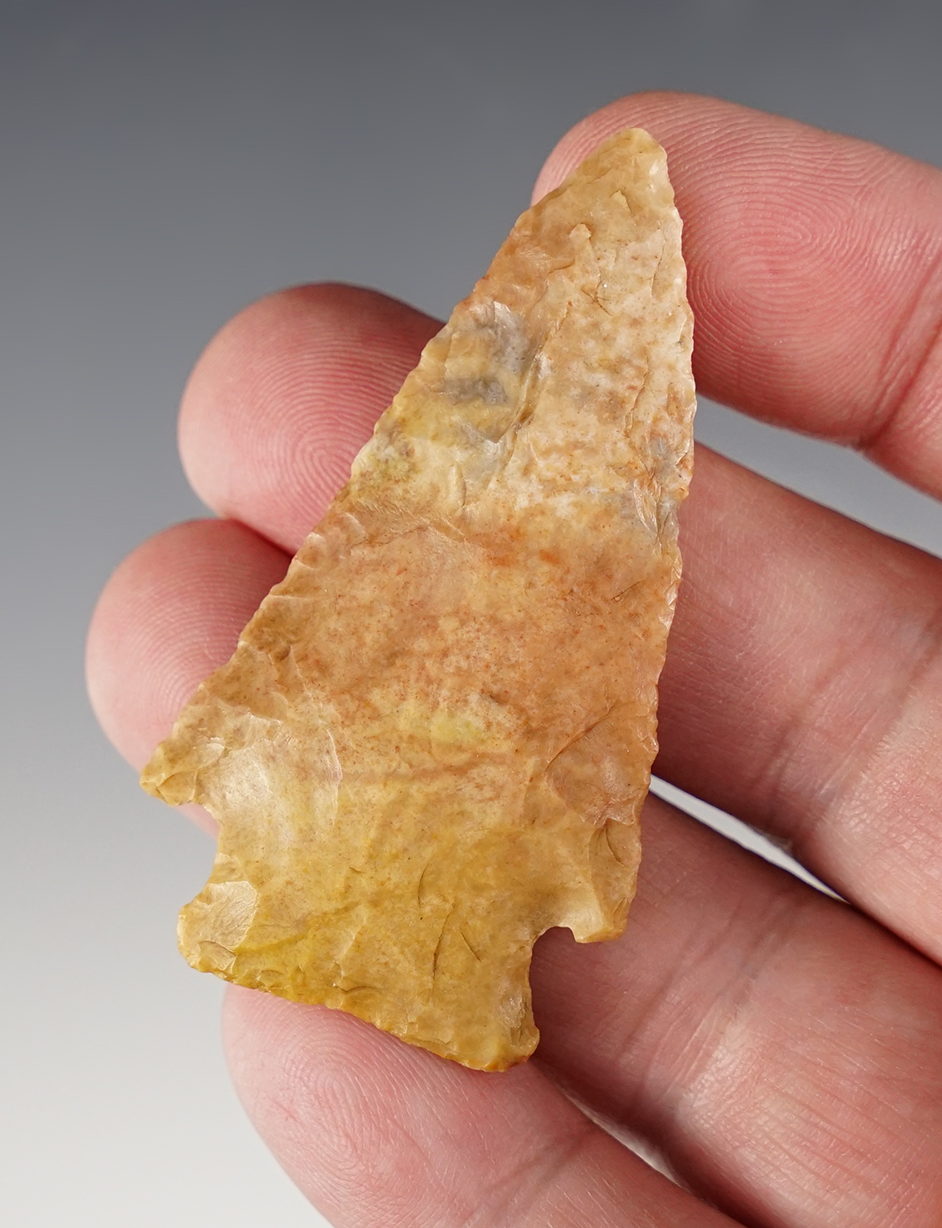 Main artifact image