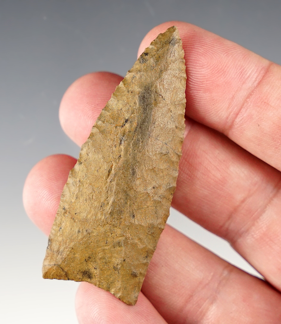 Main artifact image