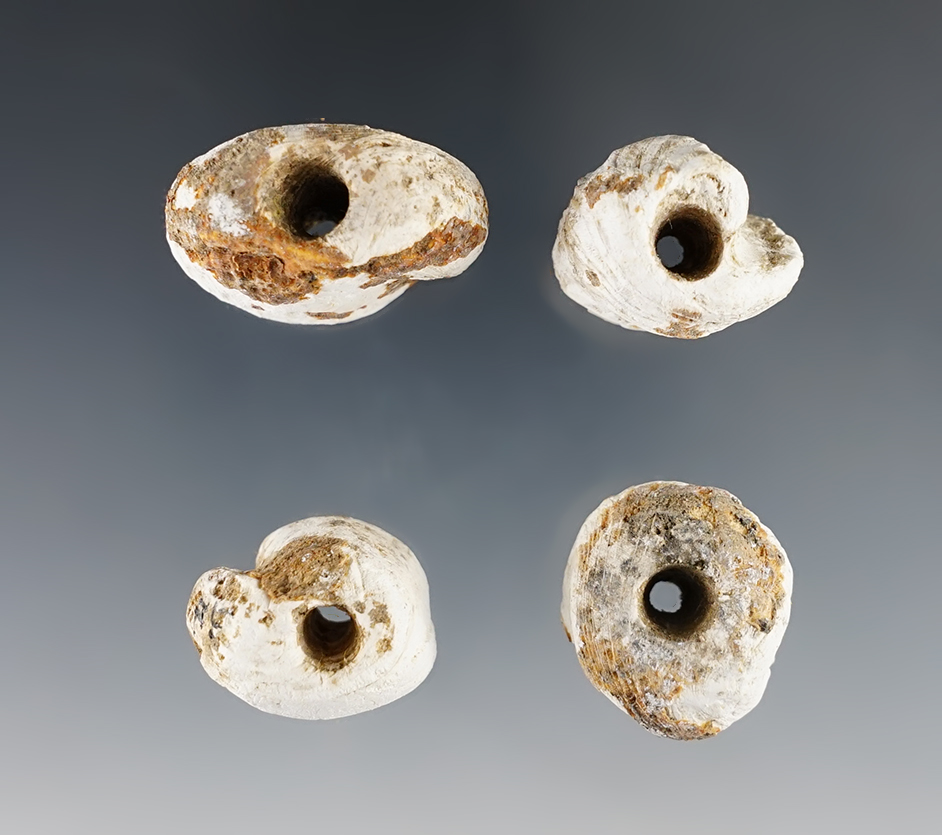 Main artifact image