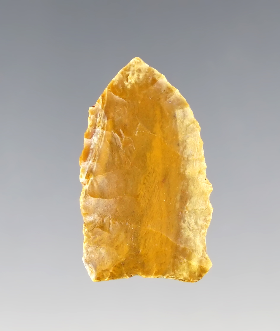 Main artifact image
