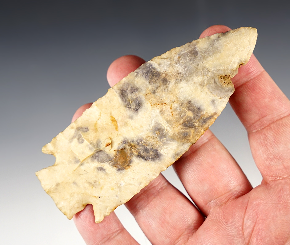 Main artifact image