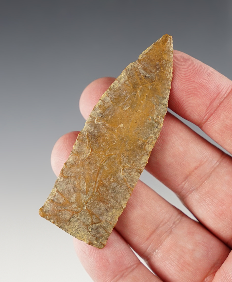 Main artifact image