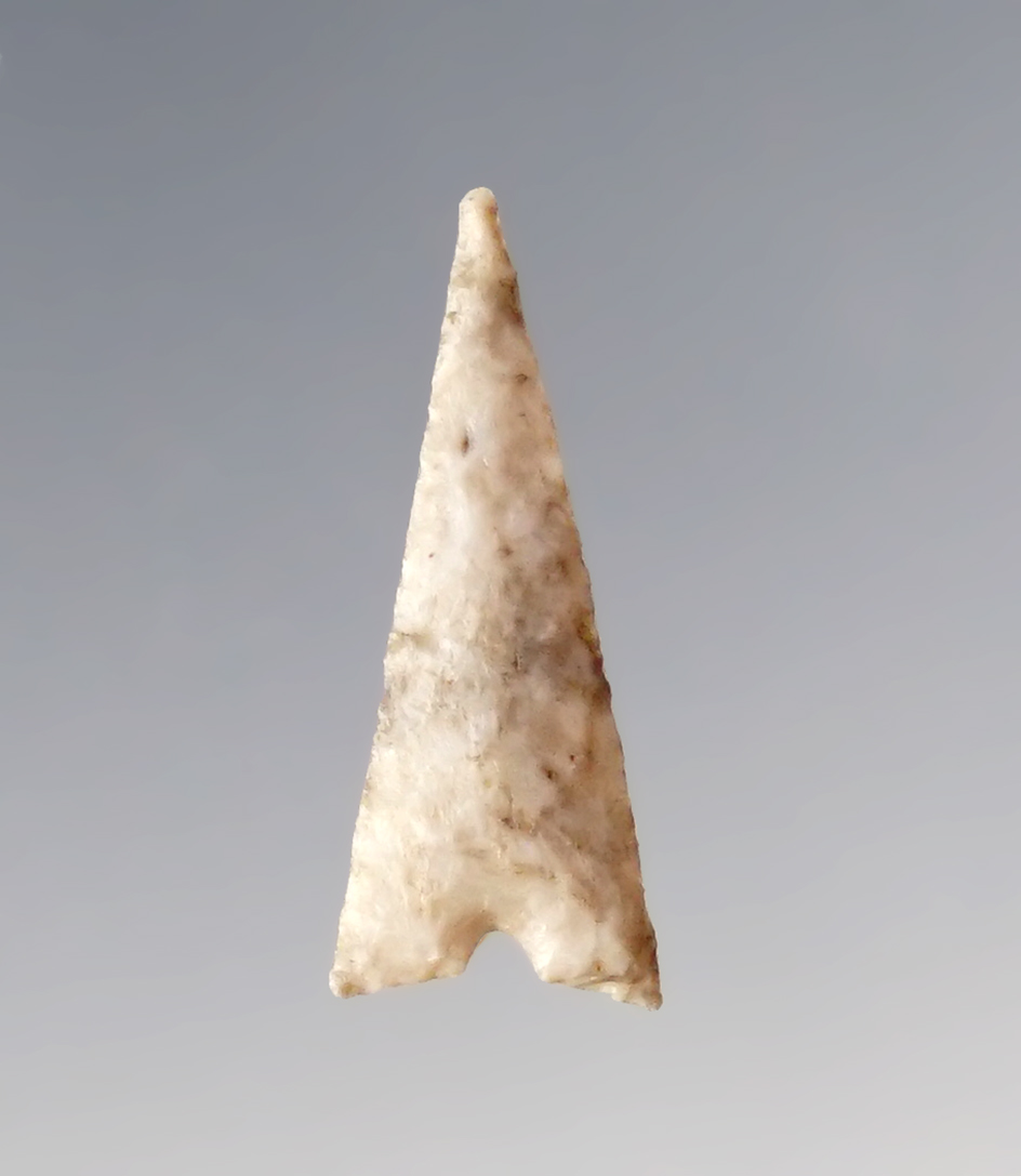Main artifact image