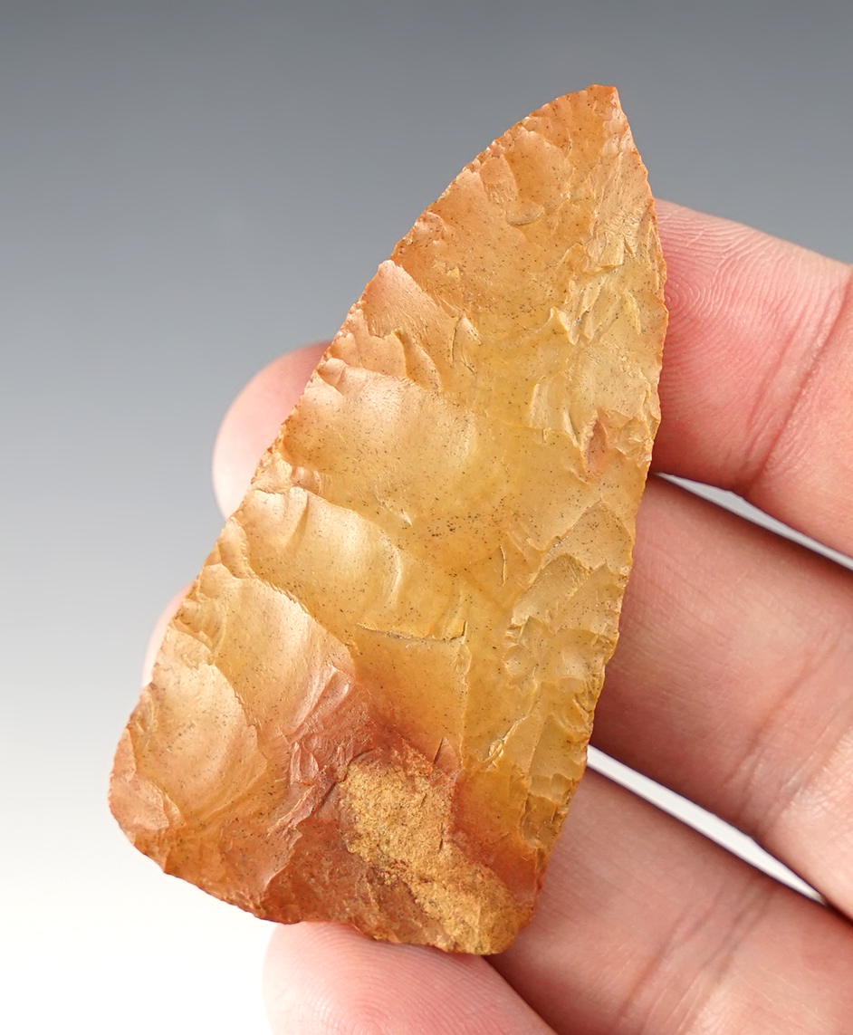 Main artifact image
