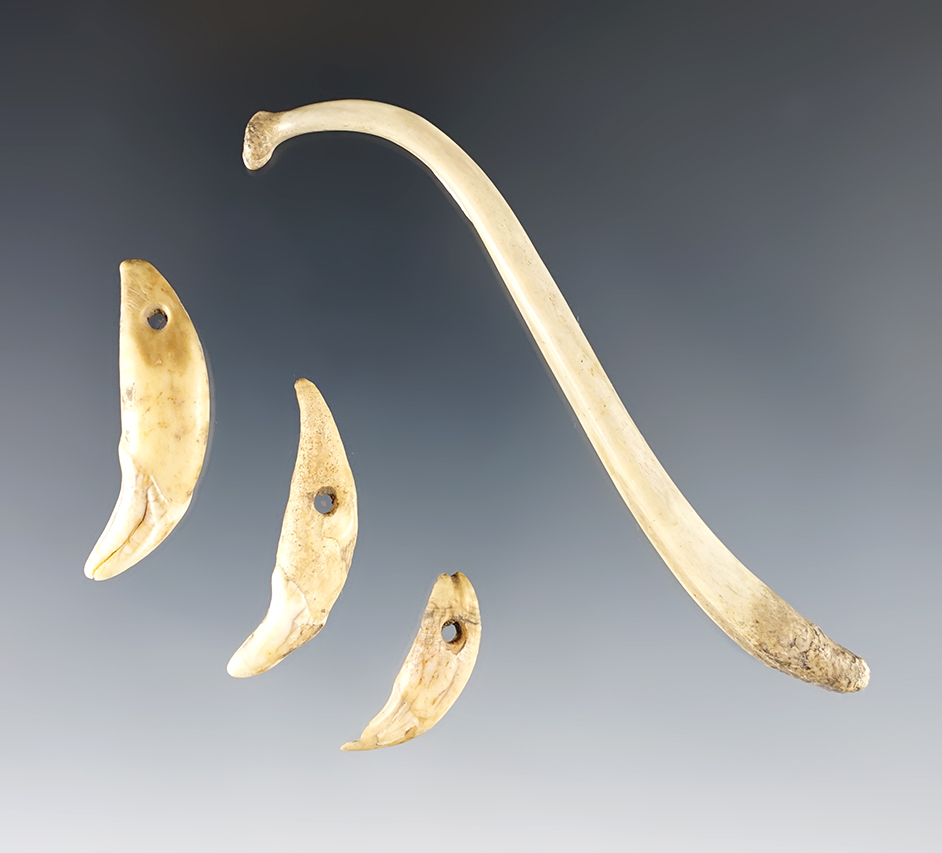 Main artifact image