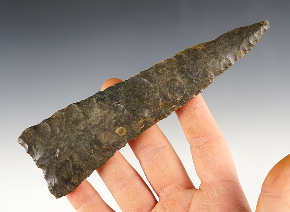 Main artifact image