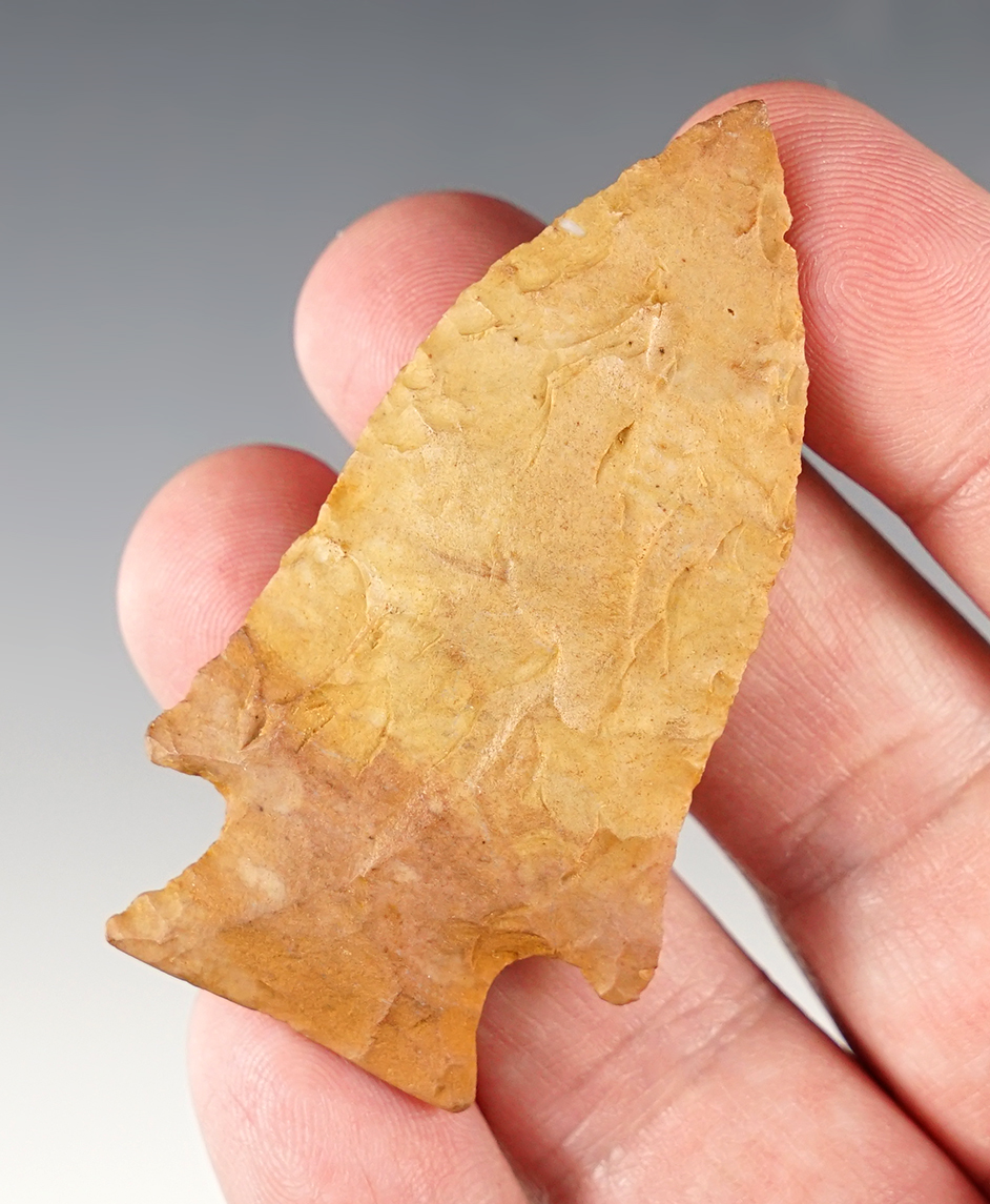 Main artifact image
