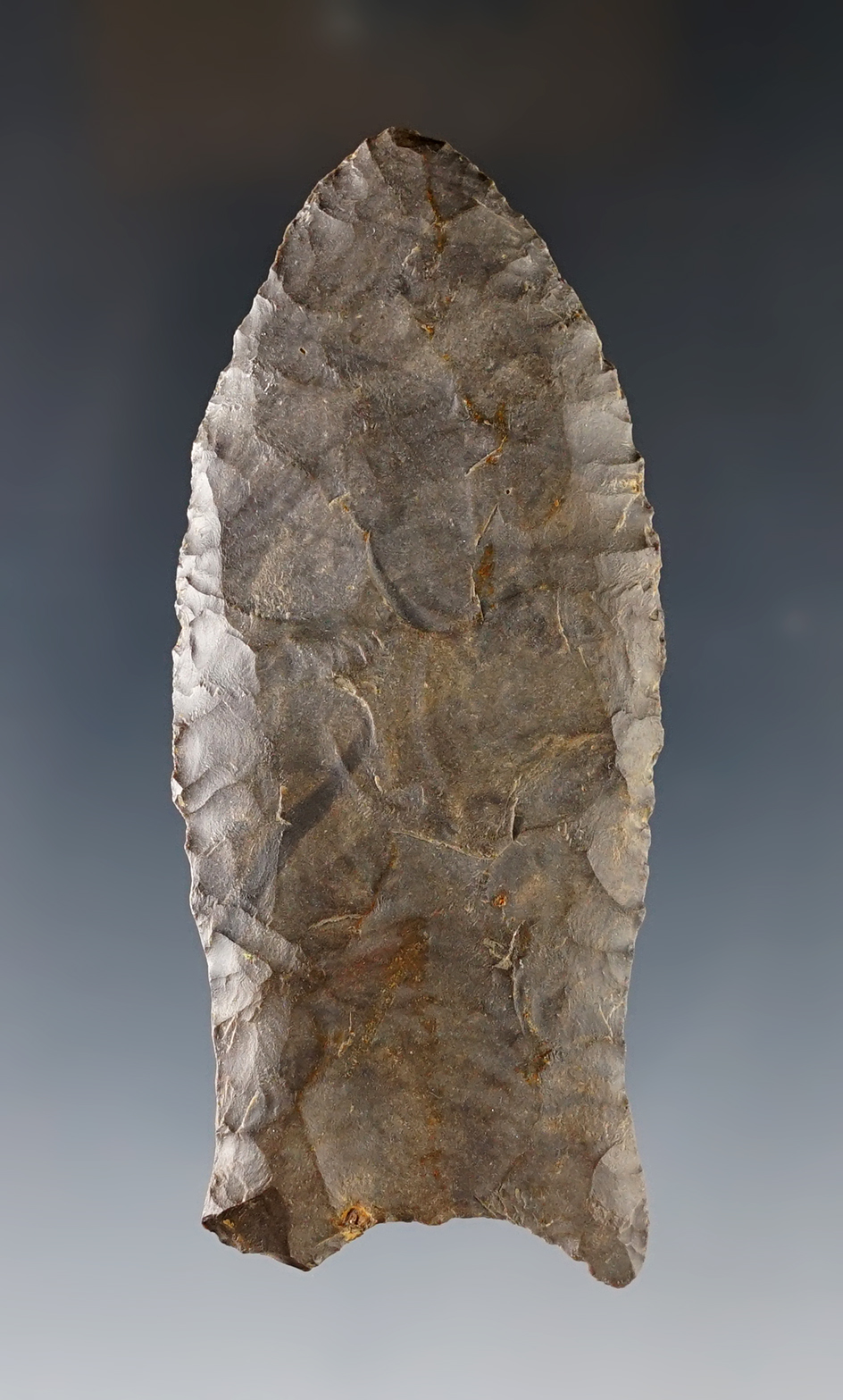 Rare 3 3/16" Paleo Clovis, Hazel variety. Found in Madison Co., Ohio. Ex. Bill Likens collection.