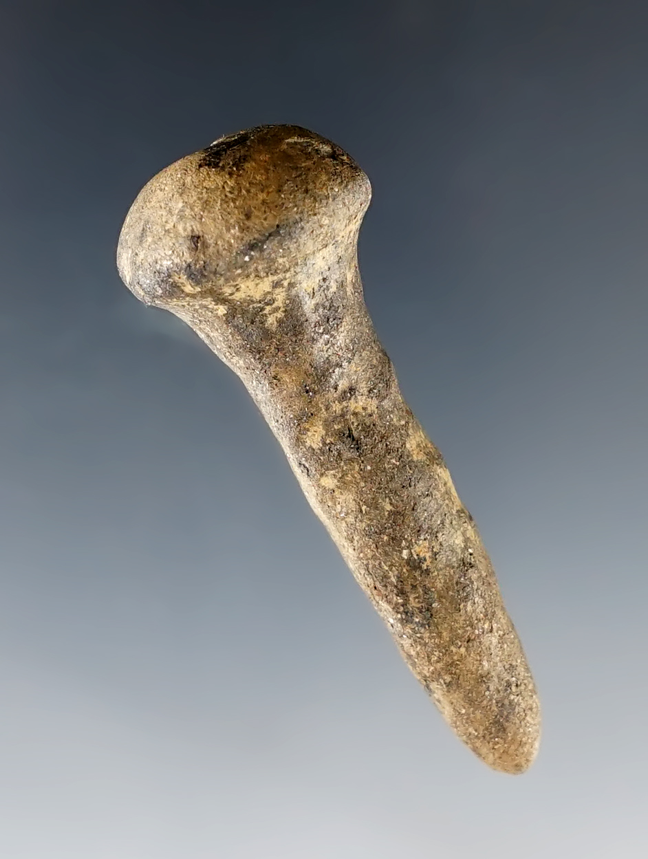 Main artifact image