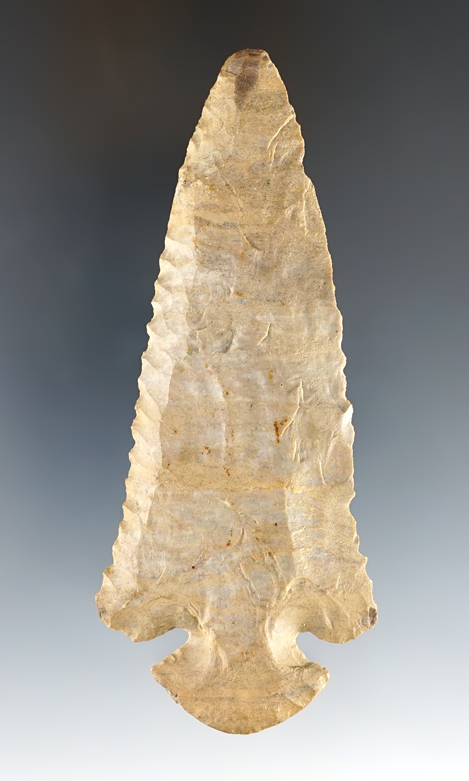 Main artifact image