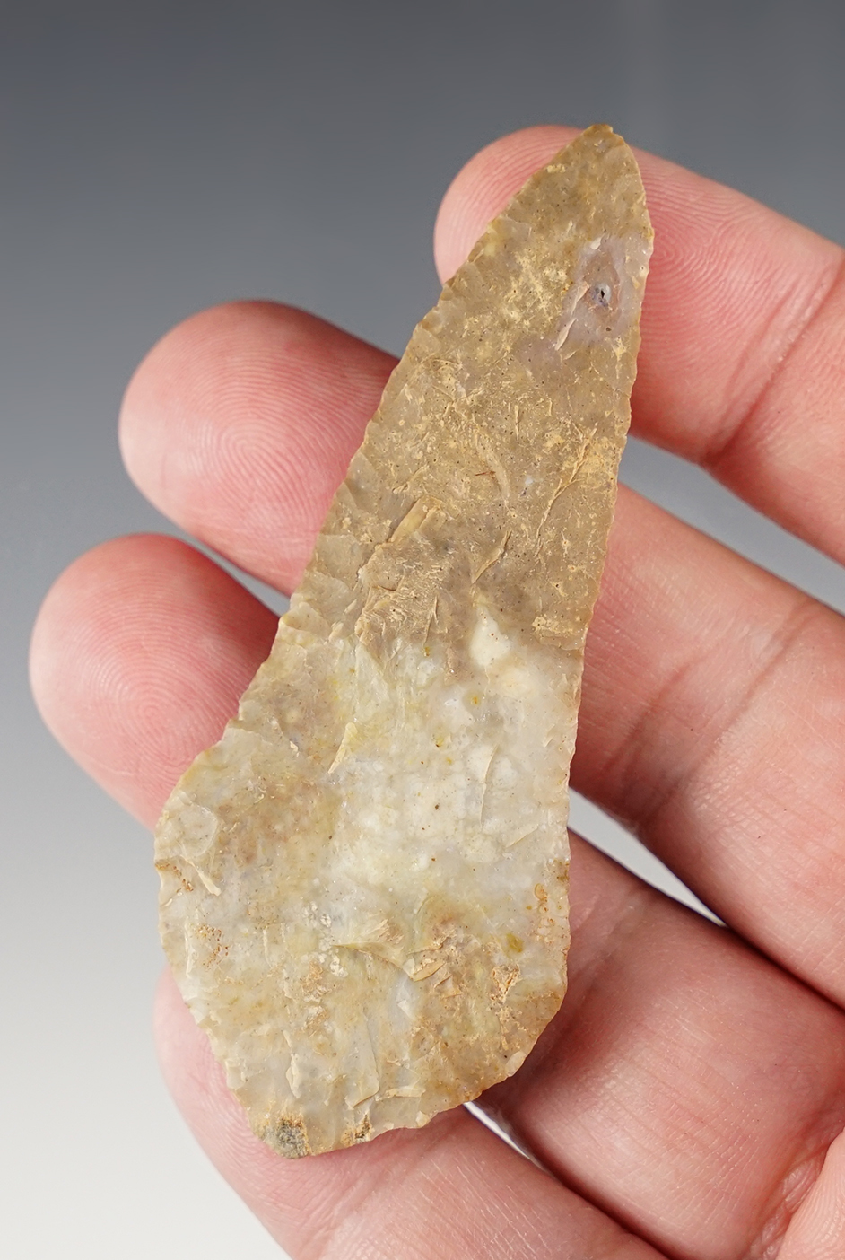 Main artifact image