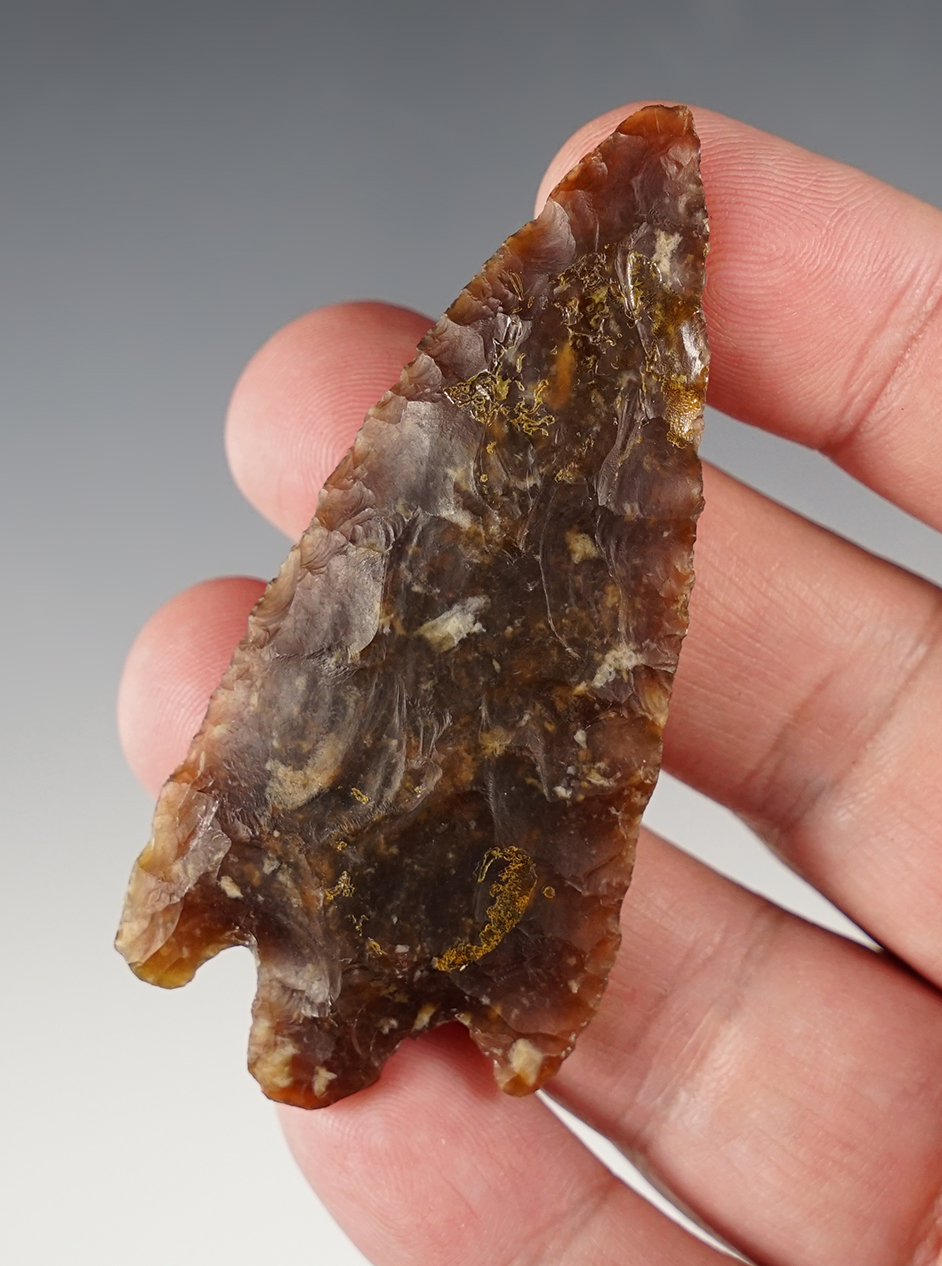 Main artifact image