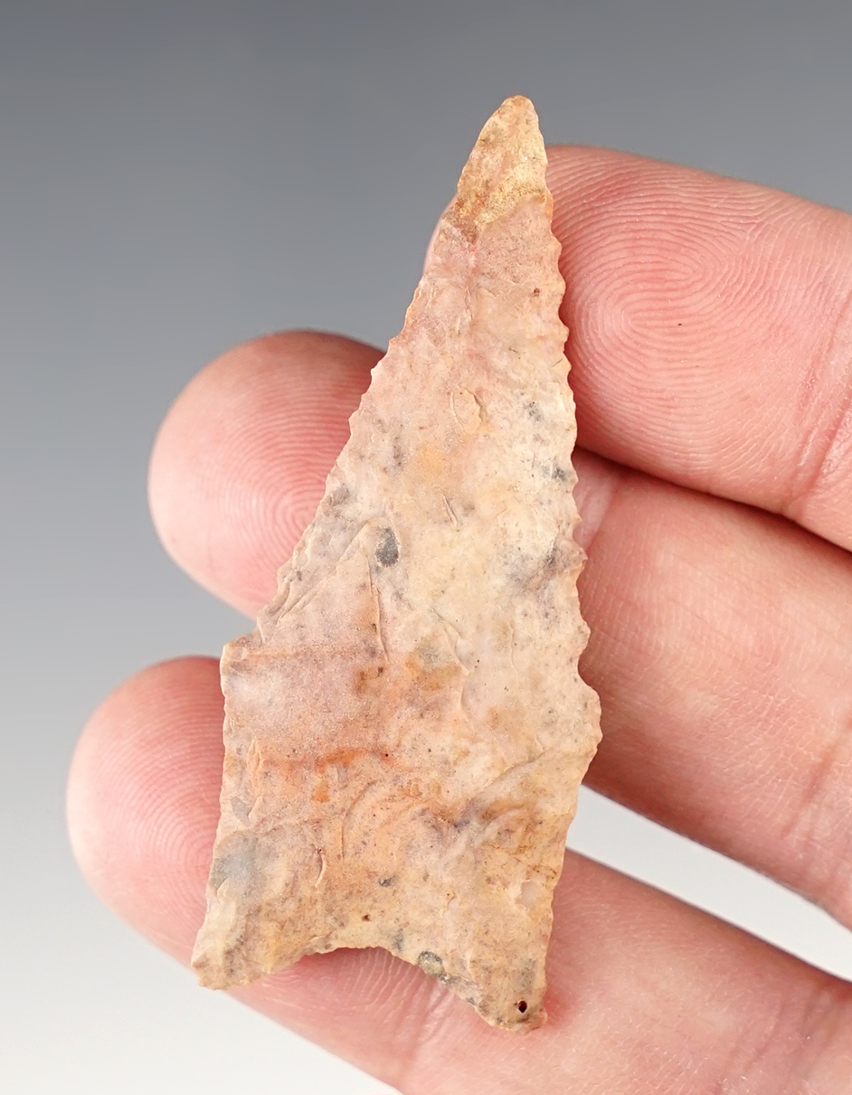 Main artifact image