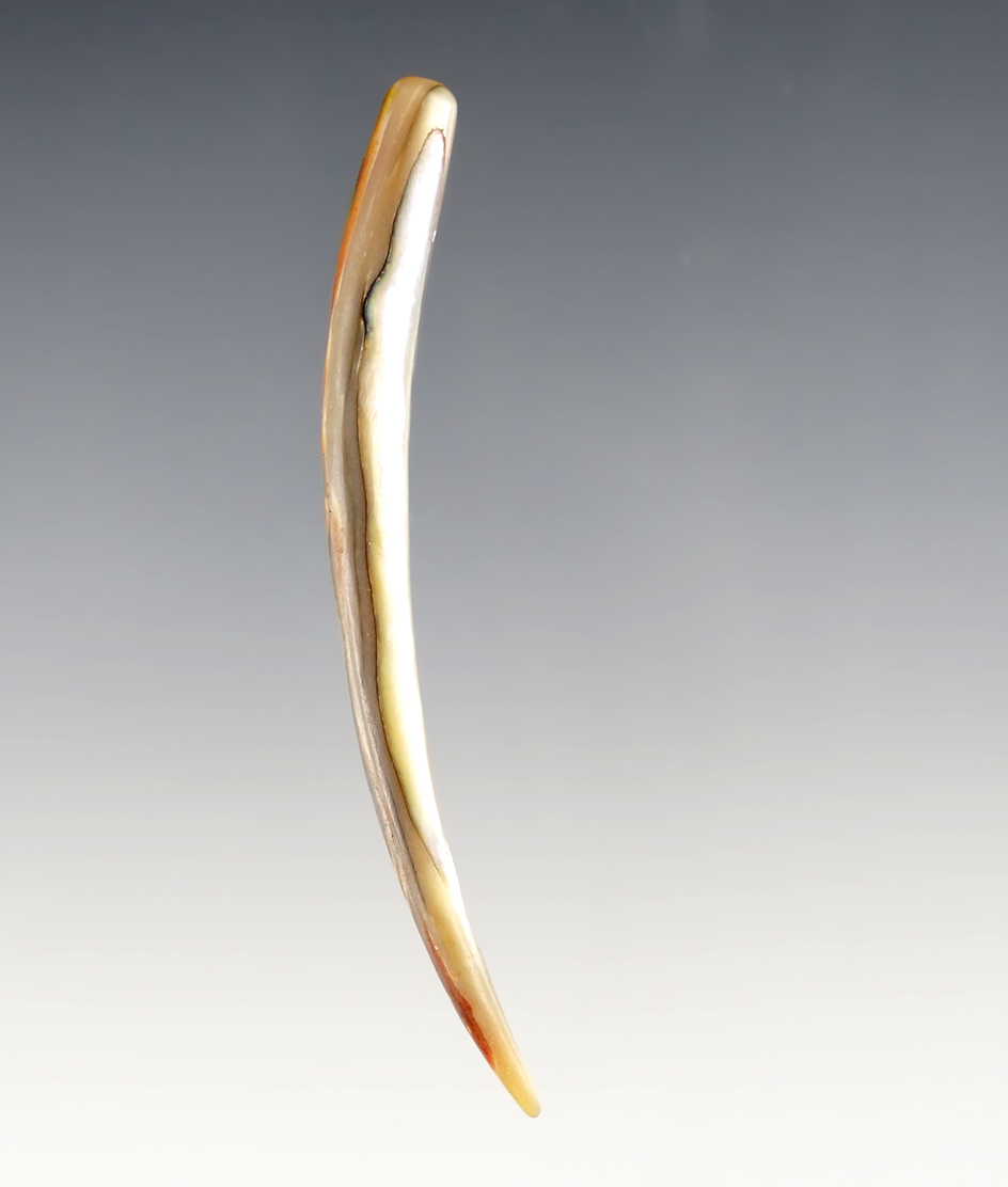 Main artifact image