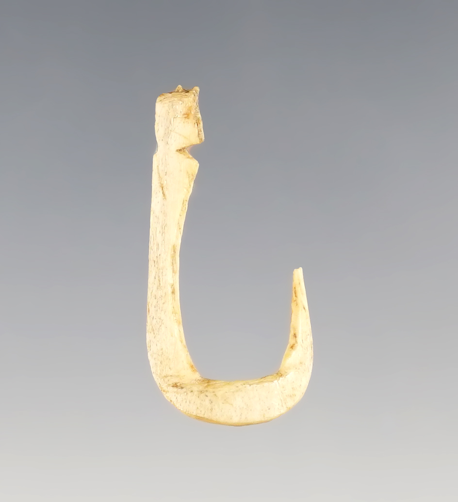 Main artifact image