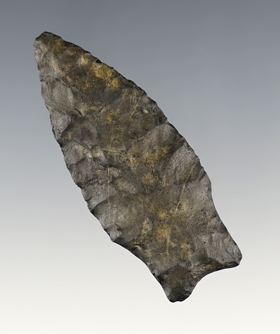 Main artifact image