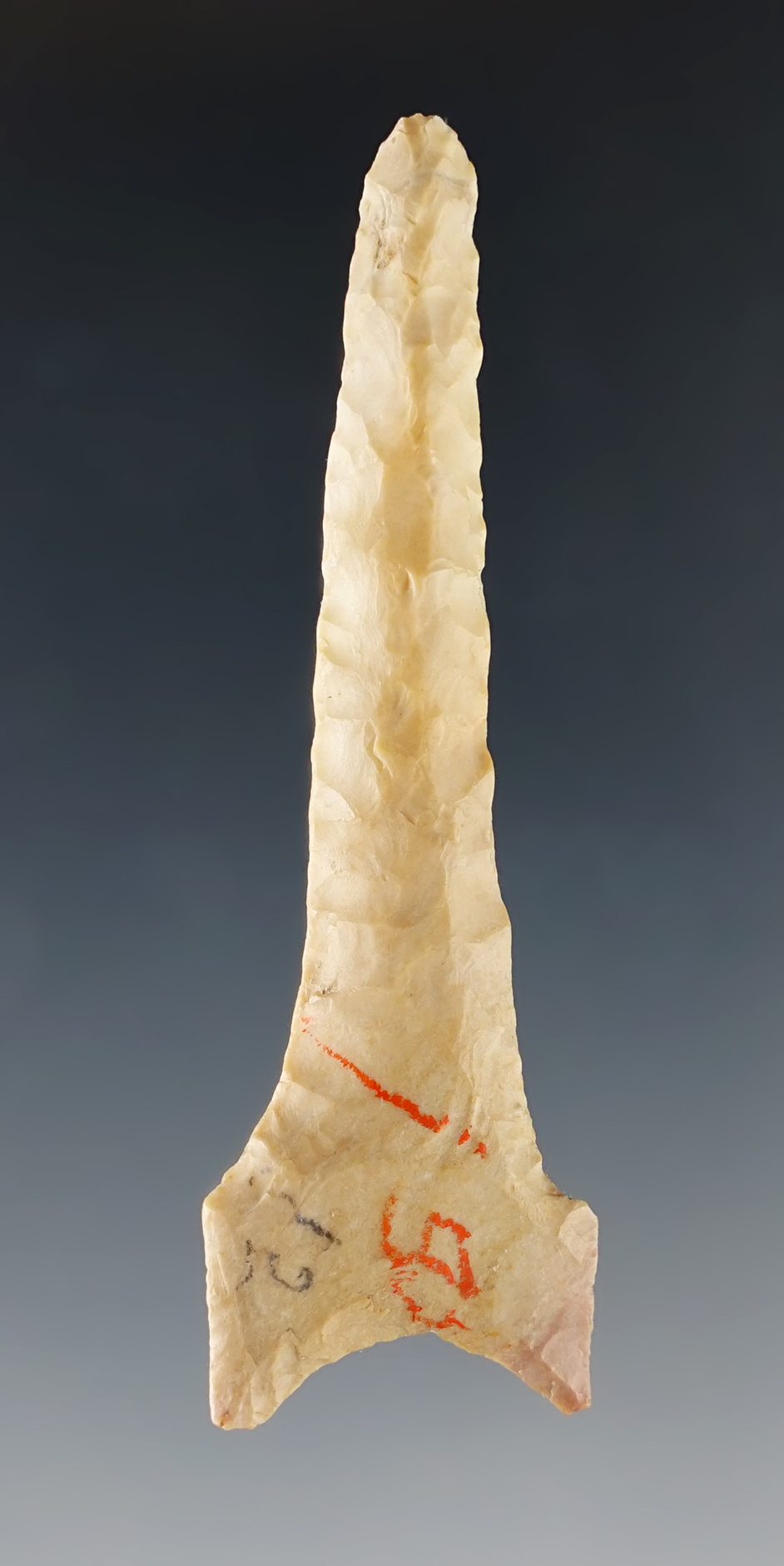 Main artifact image