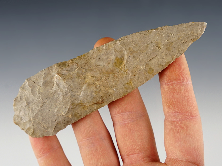Main artifact image