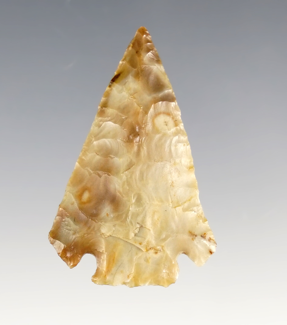 Main artifact image