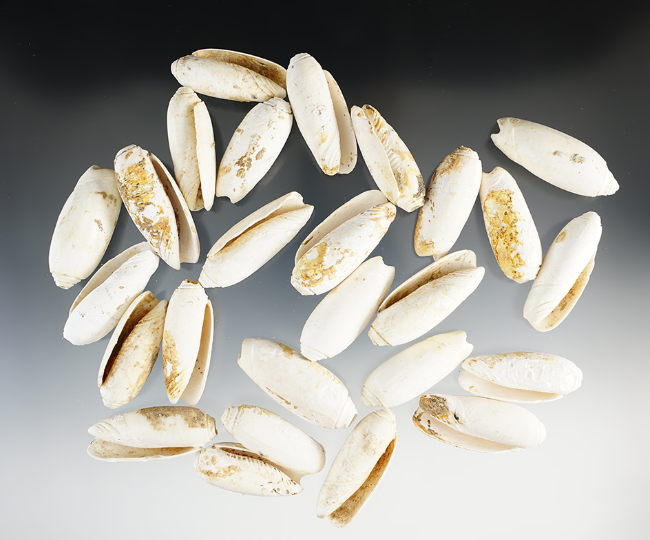 Set of 26 large drilled Shell Beads in great condition. The largest is 1 3/8".