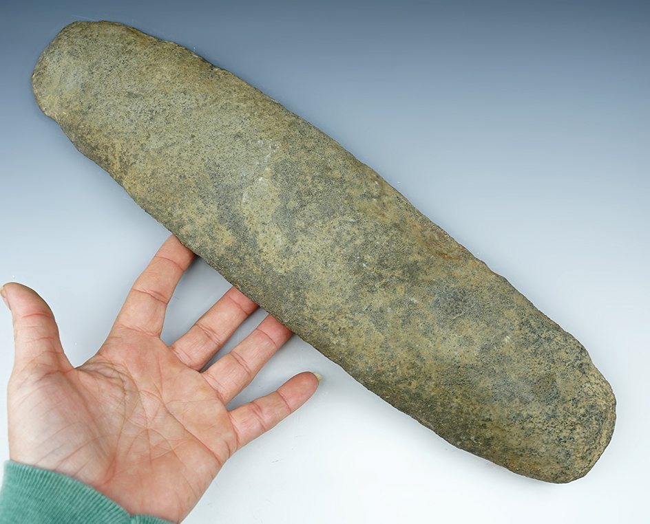 Main artifact image