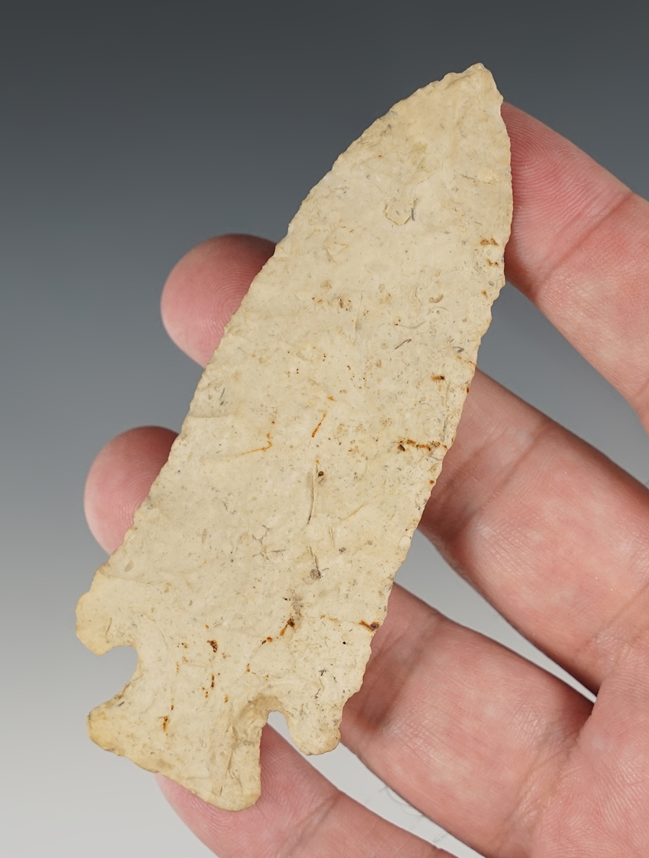 Main artifact image