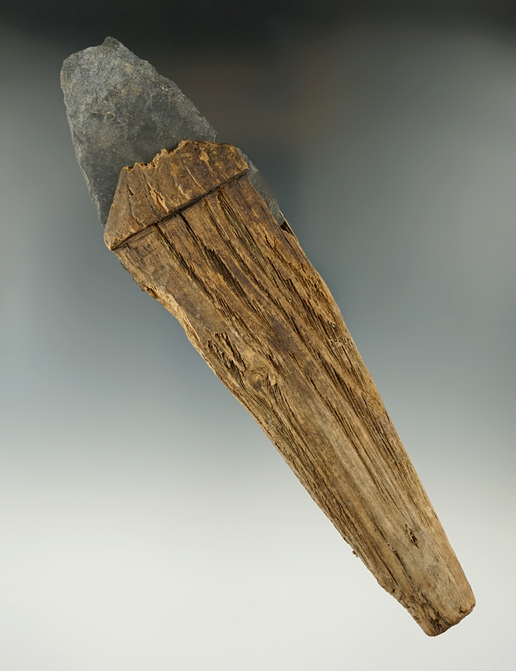 Main artifact image