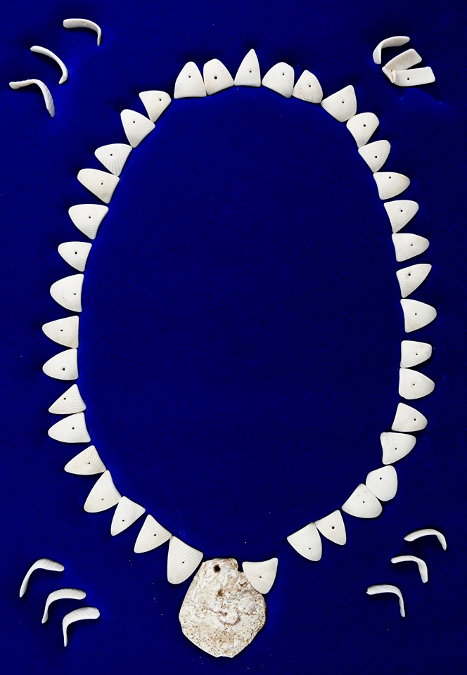 Main artifact image
