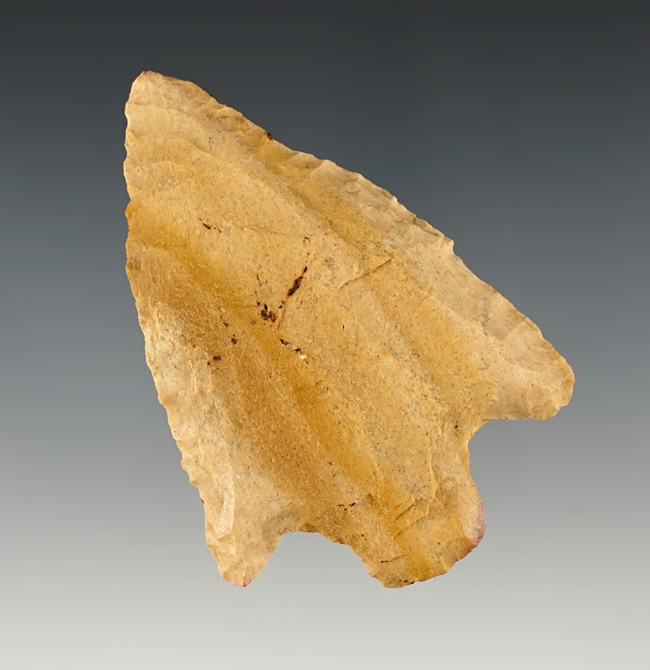 Main artifact image