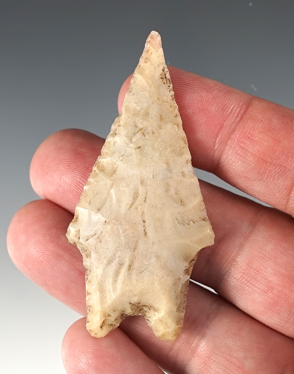 2 5/8" Pedernales found in Real Co., Texas and made from a well patinated white flint. COA.