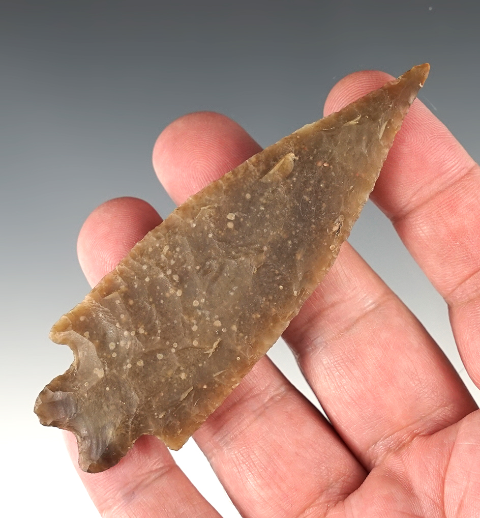 Fine 3 3/4" Pedernales found in Texas. Ex. Mike Spear, Erin Clauss collections. Rogers COA.