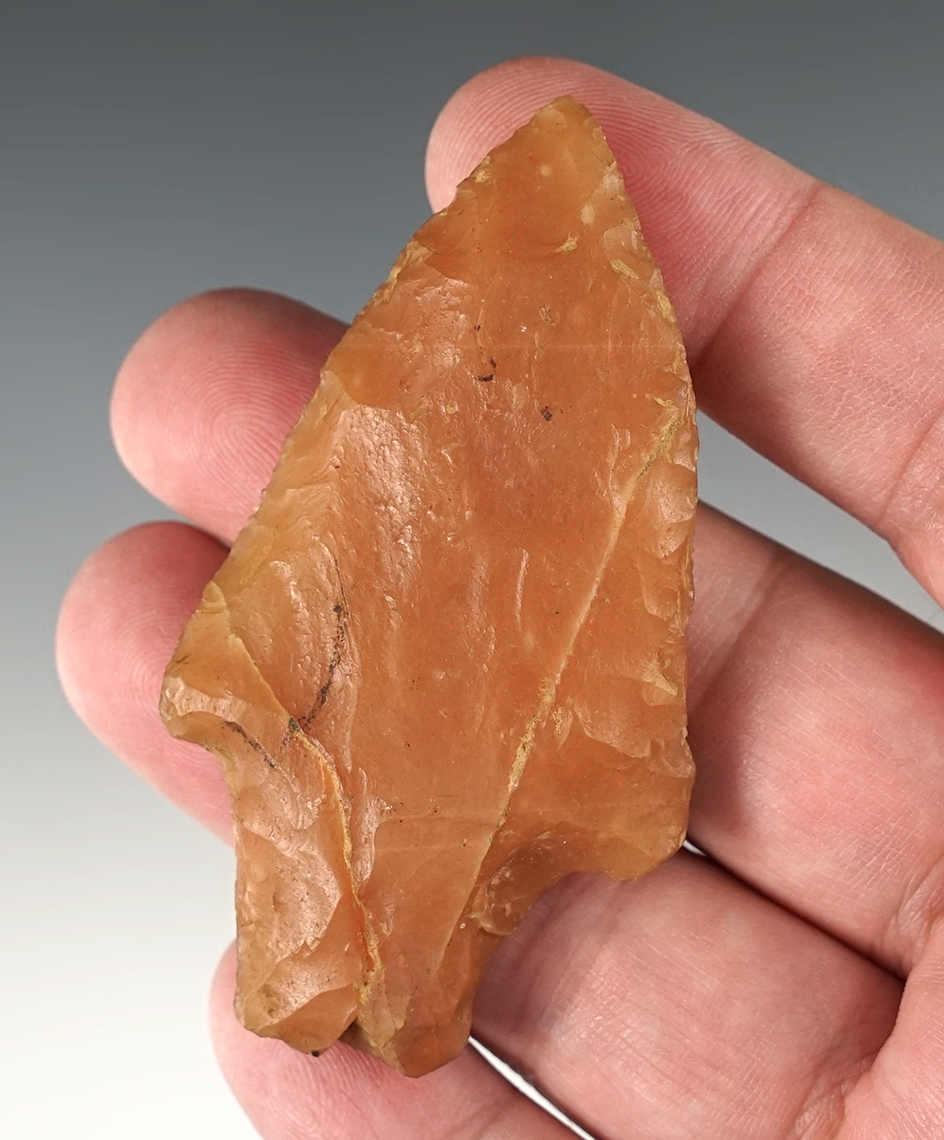 Main artifact image