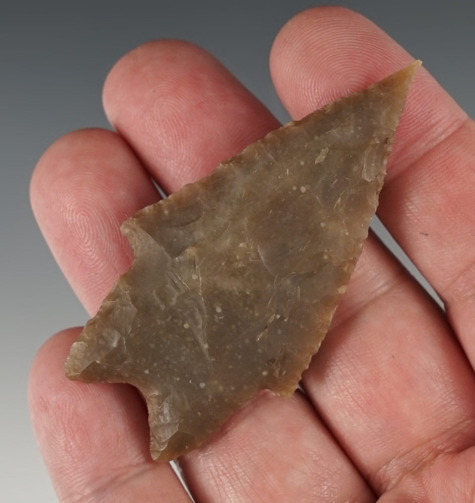 2 11/16" Pedernales found in Bandera Co., Texas. Comes with a Rogers COA.