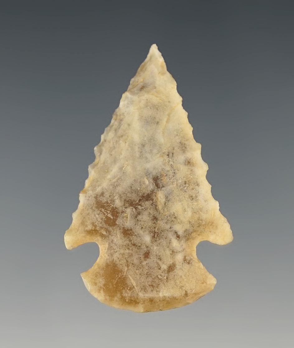 Main artifact image