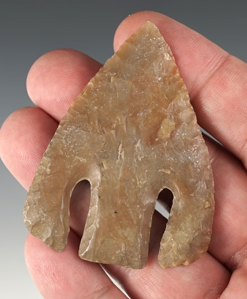 2 7/16" Andice found in Bell Co., Texas. Restoration to one ear and part of the stem.