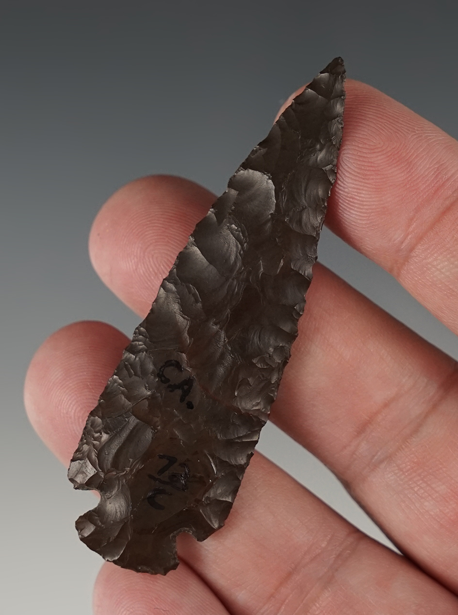 Main artifact image