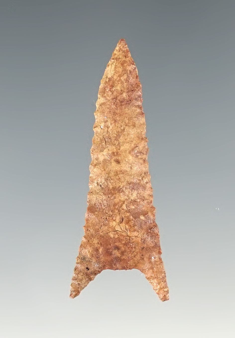 Finely made 1 9/16" East Texas Talco point. Comes with a Rogers COA.