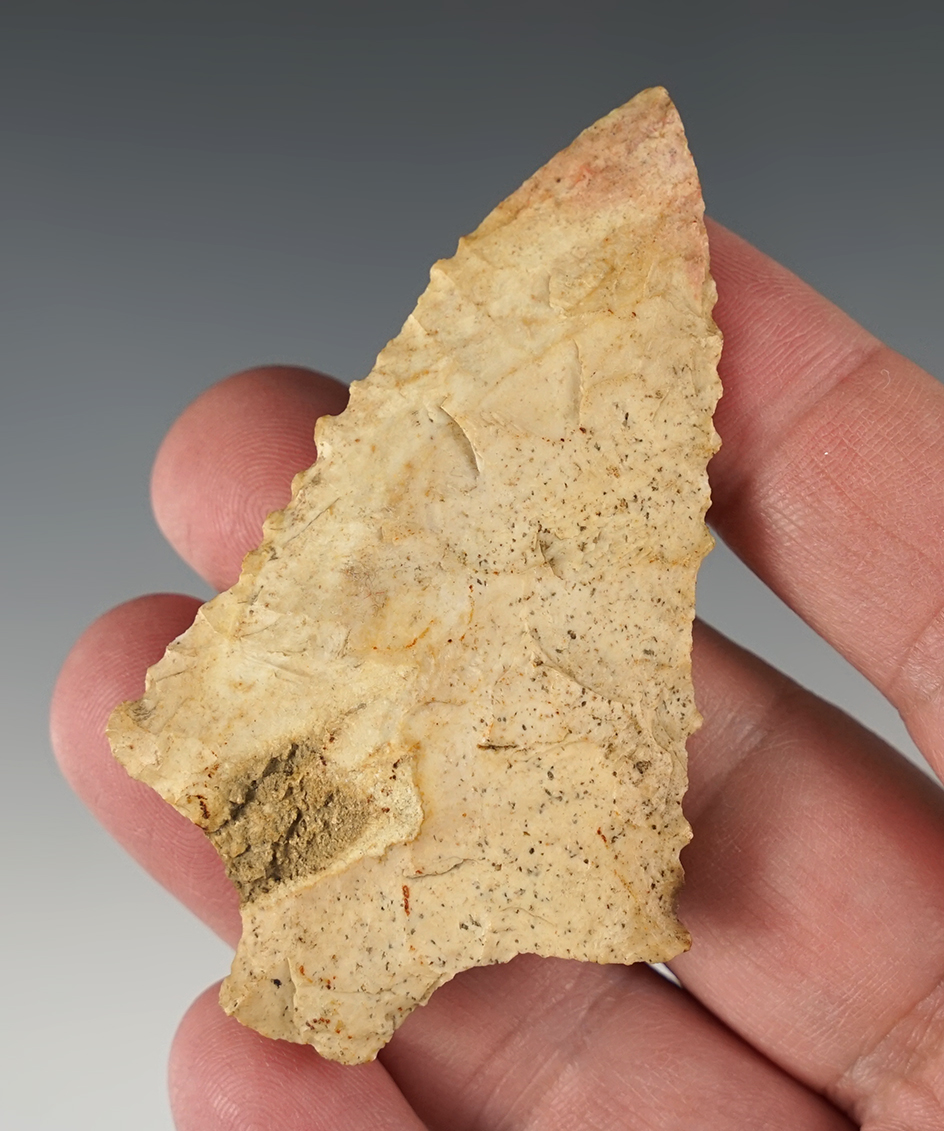 Main artifact image