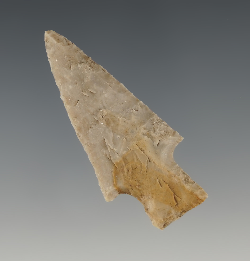 Nice 2 1/4" Darl point found in Williamson Co., Texas. Comes with a Rogers COA.
