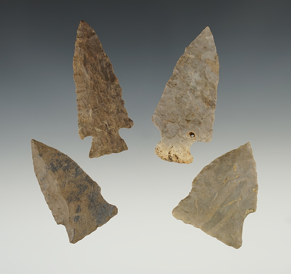 Set of 4 well made Kentucky/Tennessee points. The largest is 2 5/8".