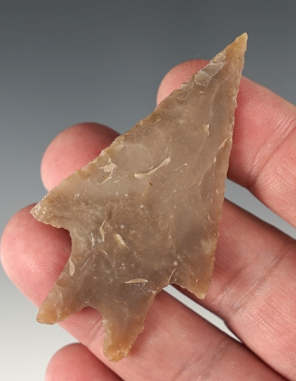 2 11/16" Pedernales point found in Kerr Co., Texas. Comes with a Bill Arnold COA.