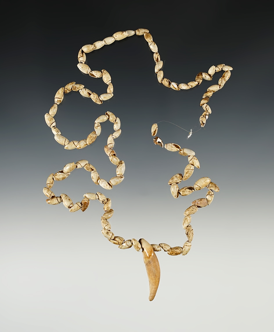 Main artifact image