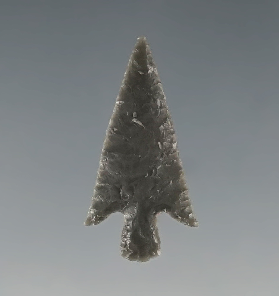 Thin and Finely flaked 1" Wallula found around the Columbia River.